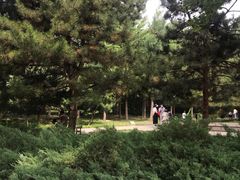 -玲珑塔公园