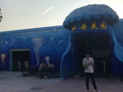 -巨鹏飞梦幻海岸