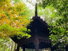 -杭州半山国家森林公园