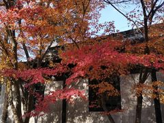 -上海市龙华烈士陵园