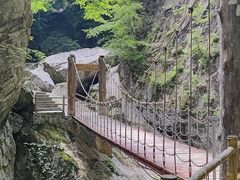 -牛背梁国家森林公园