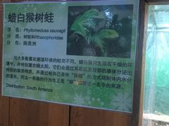 -上海大自然野生昆虫馆(东方明珠·爬宠昆虫探索中心)