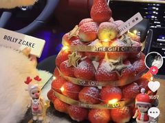 -维尔纳斯·生日蛋糕·动物奶油冰淇淋蛋糕(六里桥店)