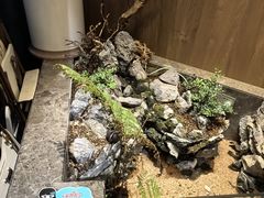 -龙猫意杯花园餐厅(芙蓉湖店)