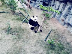 -泉州海丝野生动物世界