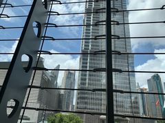 -上海中心大厦