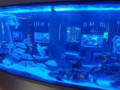 -上和臻品中国菜(花园街店)