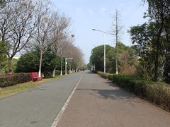 -艾溪湖湿地公园