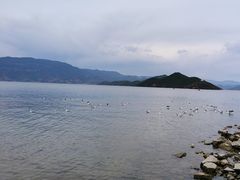 -丽江泸沽湖景区