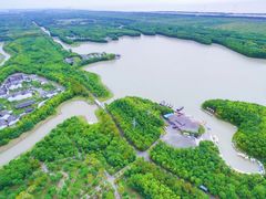 -上海海湾国家森林公园
