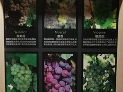 大堂-葡萄集|滋味新疆菜·精酿酒馆(瑞豪酒店)