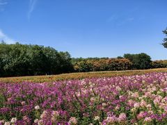 -江苏三台山国家森林公园