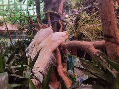 -正佳雨林生态植物园