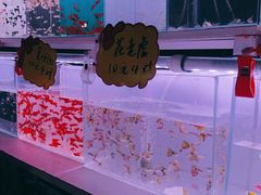 -中环花鸟鱼虫市场