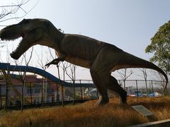 -洪湖悦兮半岛国际温泉度假村