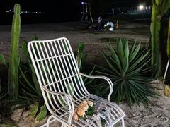 -花海间·即刻露营