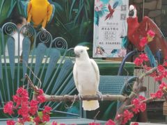 -南宫五洲植物乐园