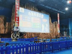 -华夏文旅海洋公园