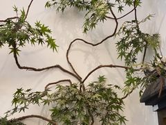 -耳艺采耳·足疗·按摩SPA(市桥店)