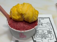 -红楼HONGLOU Gelato(淮海中路店)