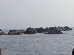 -黑石礁公园