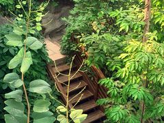 -郑州植物园