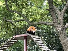 -上海野生动物园