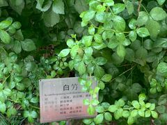 -广州神农草堂中医药博物馆