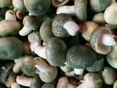 -野生菌火锅(菌王村店)