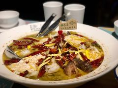 -胡桃里音乐酒馆(罗湖HALO广场店)