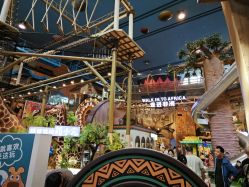 -卡通尼·Safari非洲探索乐园·生日会(金桥国际商业广场店)