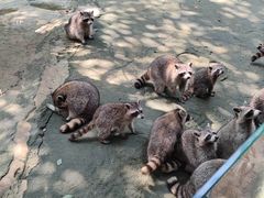-杭州野生动物世界