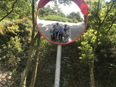 -梧桐山风景名胜区