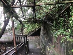 -茶泡饭(李子坝店)