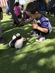 -萌宠亲子动物乐园(槐房万达店)