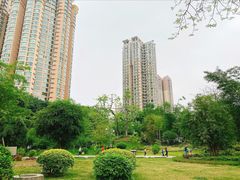-晓港公园