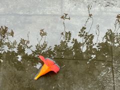 -黄兴公园