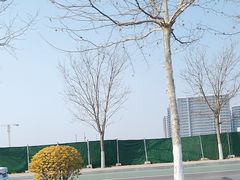 -汉景帝阳陵博物院