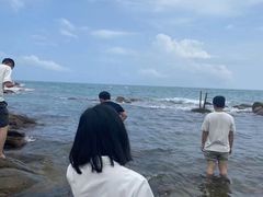 -广东惠东海龟国家级自然保护区