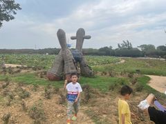 -武汉紫薇都市田园