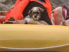-阿依河景区