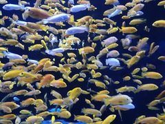 -成都浩海立方海洋公园