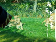 -北京野生动物园