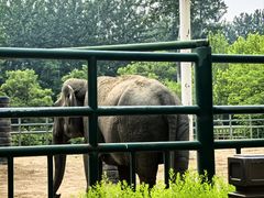 -秦皇岛野生动物园