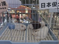 -鹏欣水游城
