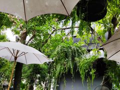 -Fern Forest Cafe