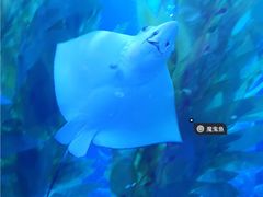 -波塞冬海底世界