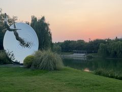 -杭州奥体中心-体育场