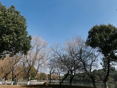 -上海影视乐园