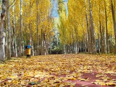 -小绿谷公园